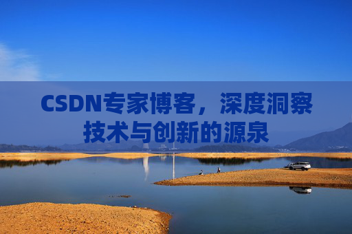 CSDN专家博客，深度洞察技术与创新的源泉